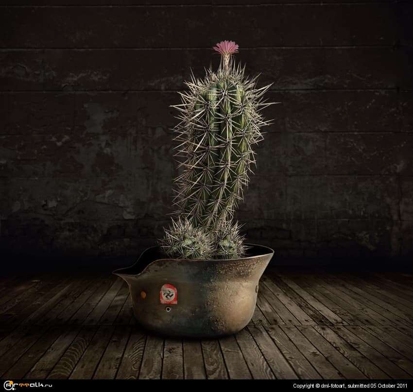 Old Pot