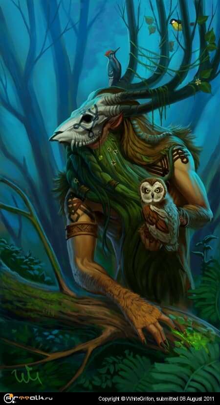 Forest Keeper