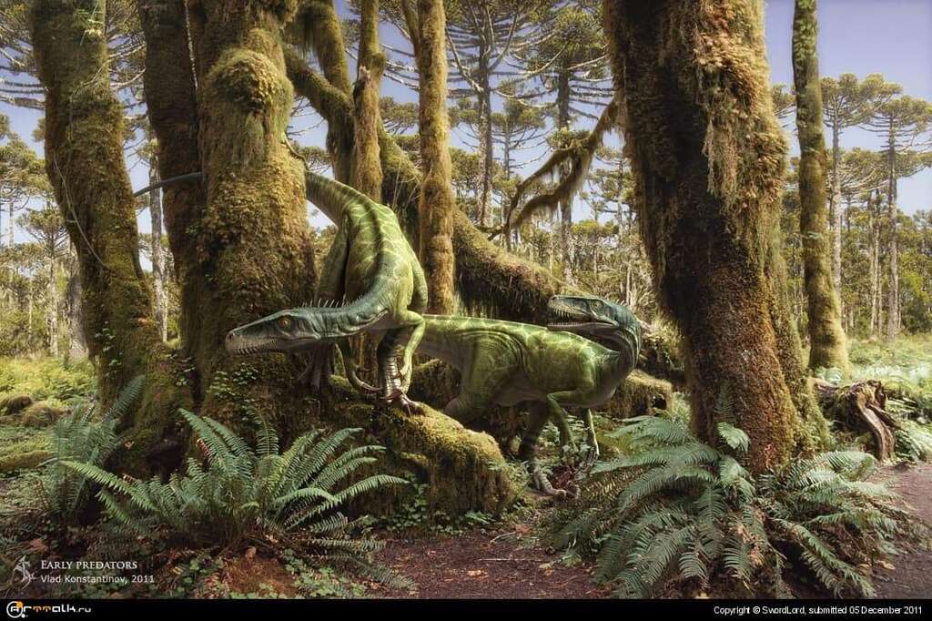Early Predators