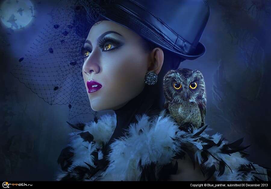 The Night Owl