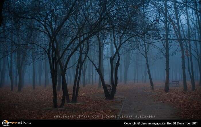 Fog