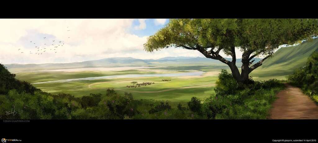 Savanna