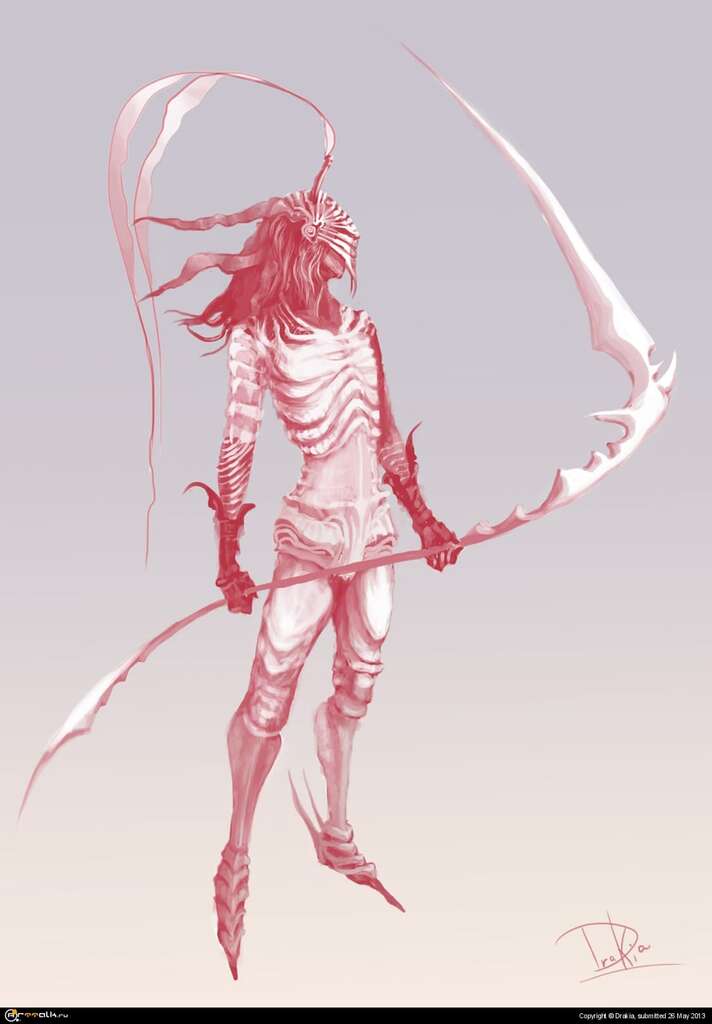 Knight Dusk