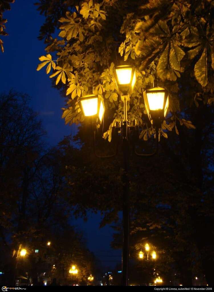 каштаны