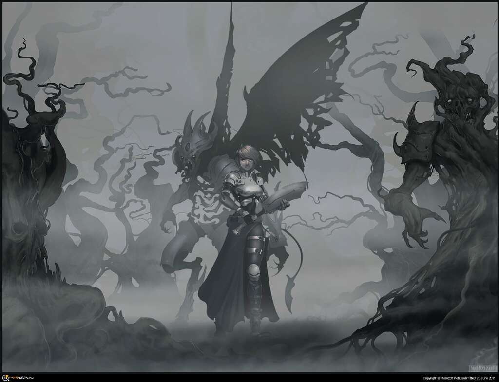 Fog Forest