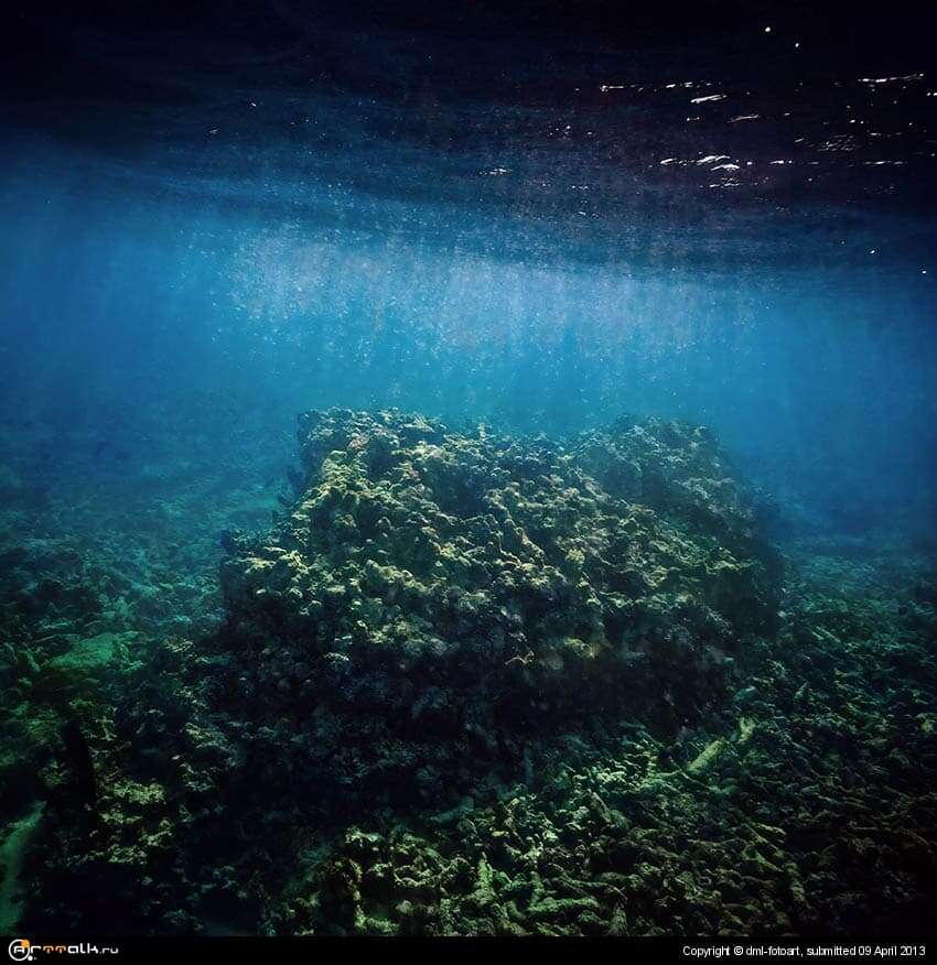 Dead Corals
