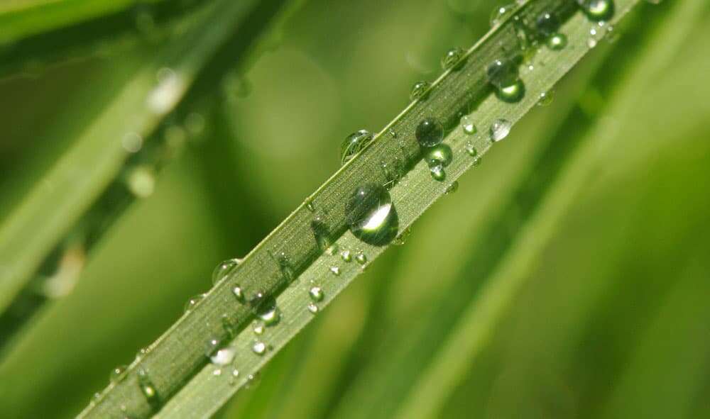 Droplets