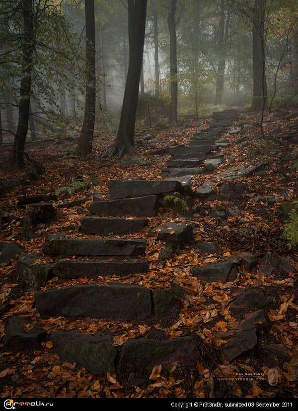 Enjoy The Silence