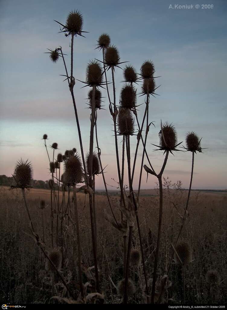 Вечер