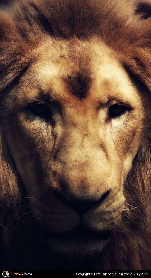Leon