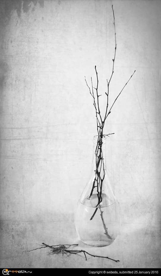 Branches...