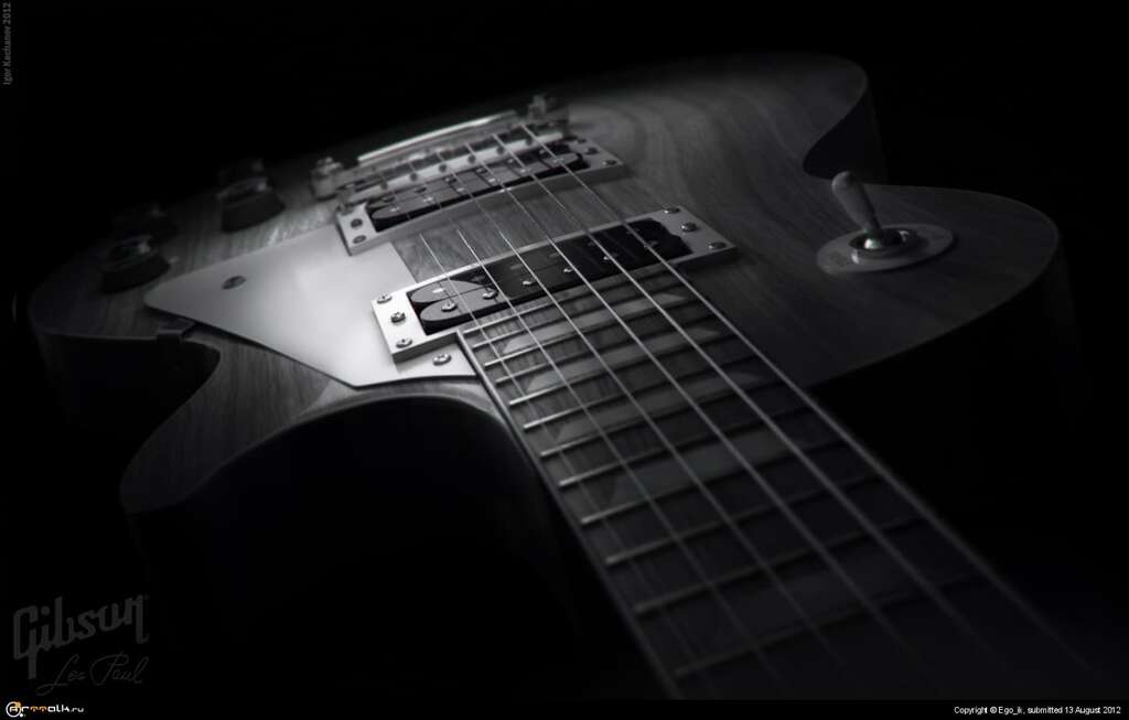 Black And White Les Paul