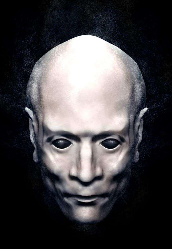 Head