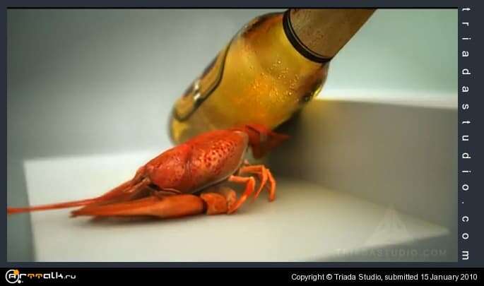 Beer And Lobster 3