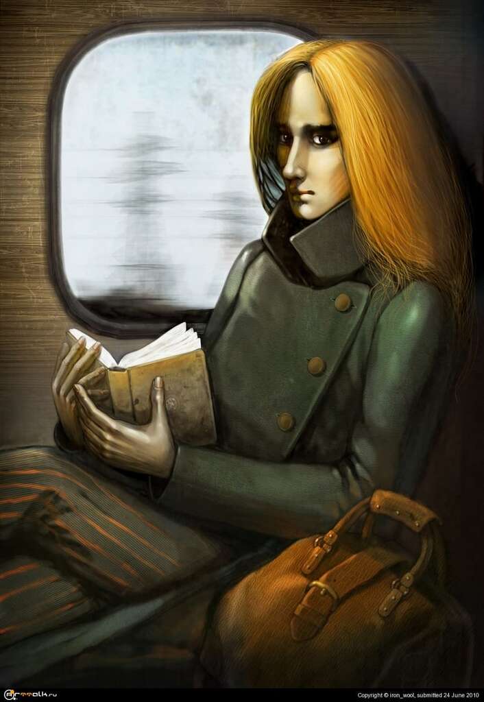 Попутчик.