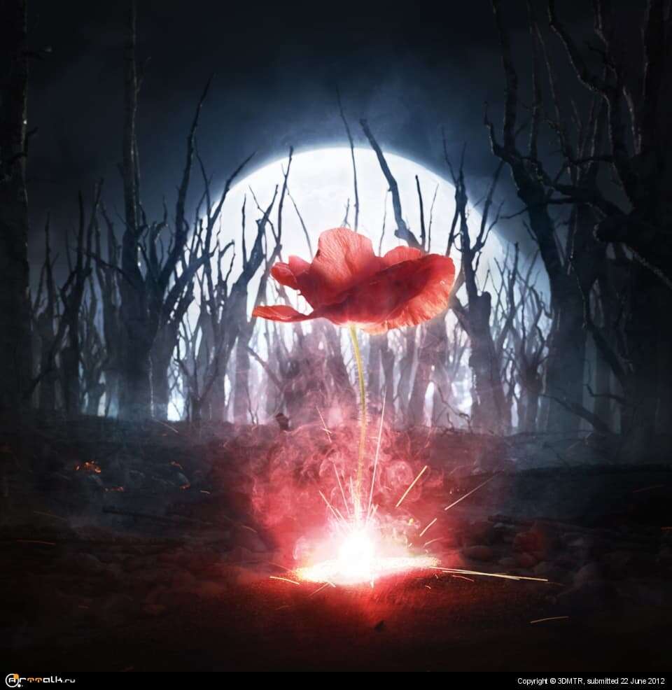Reborn From Ashes