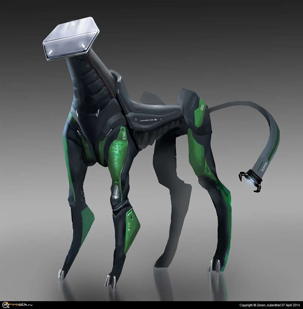Dog 00