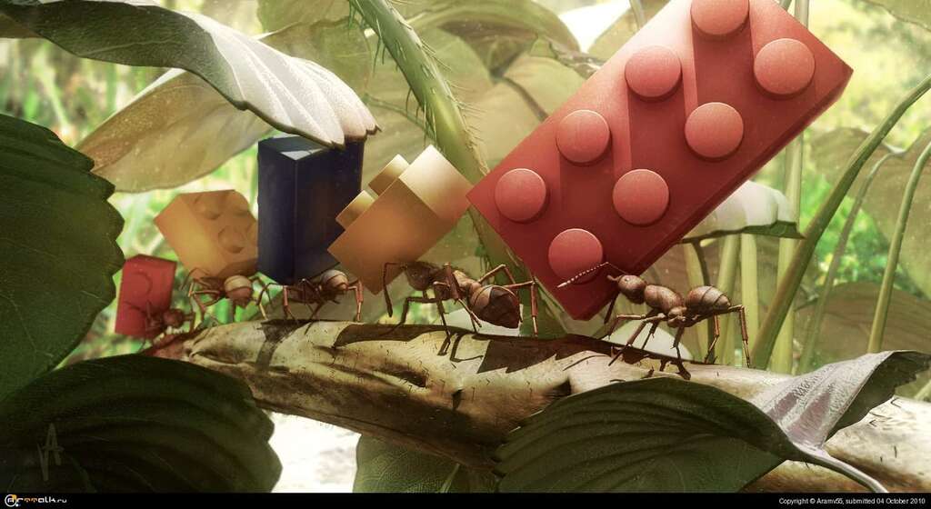 Ants