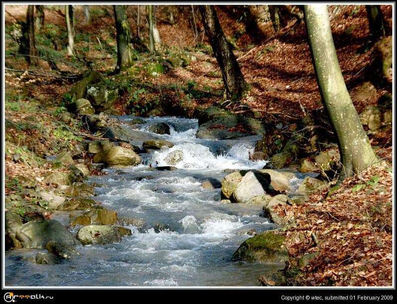 Водограй