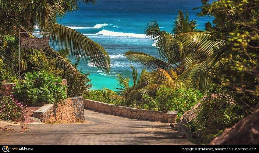Way To The Ocean