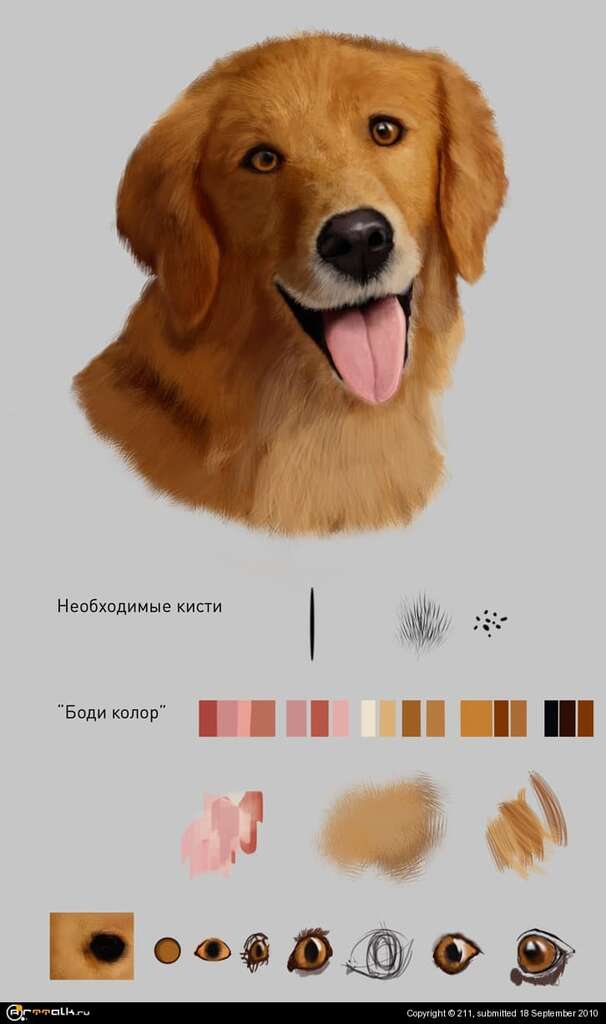 животное