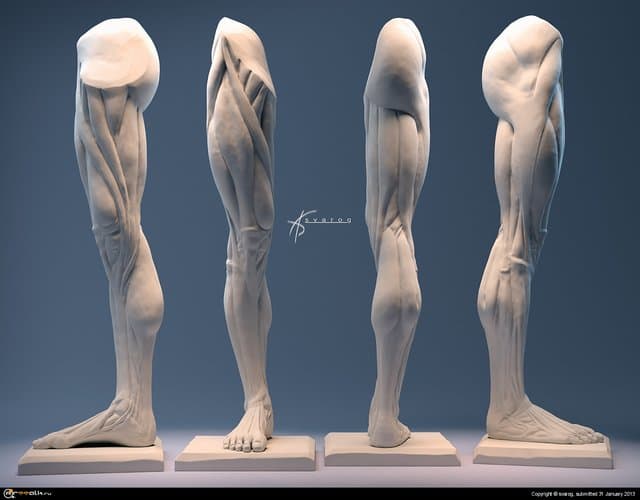 нога экорше