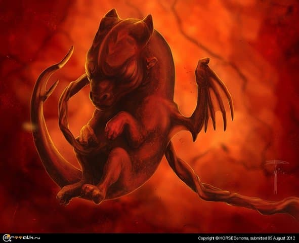 Новая жизнь