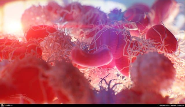 Свертывание крови