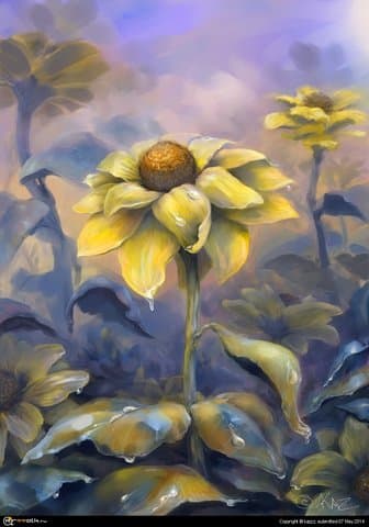 Летом. Сумерки