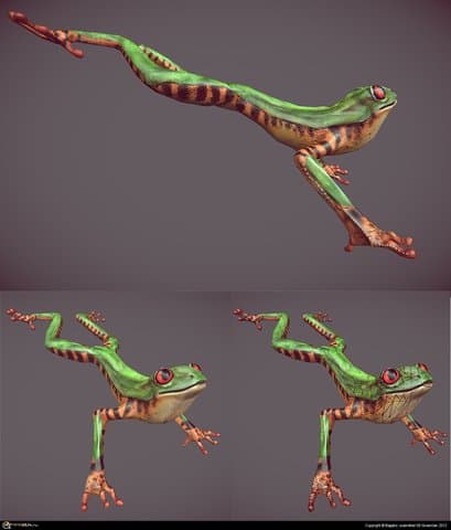 Древесная лягушка