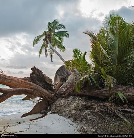Evening In The Tropics