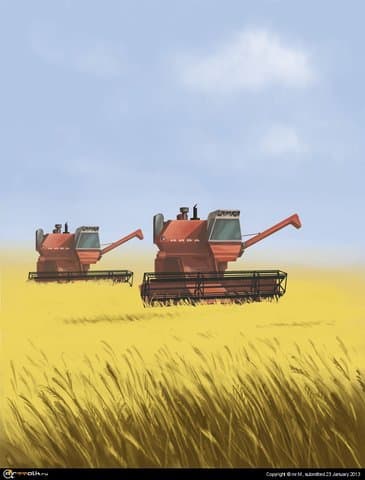 Уборка хлеба