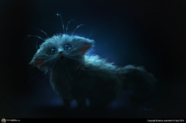котейка