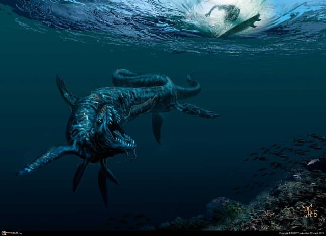 Опасный заплыв на Большом барьерном..