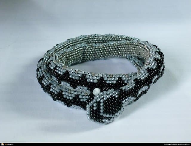 Пёстрая лента - Vipera Berus (гадюка обыкновенная)