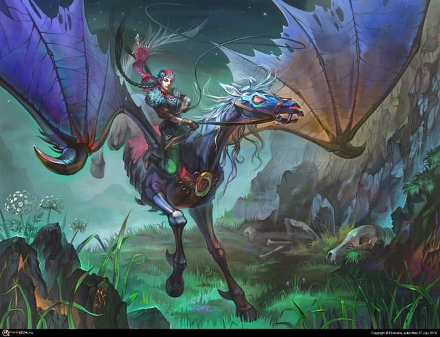 Rider