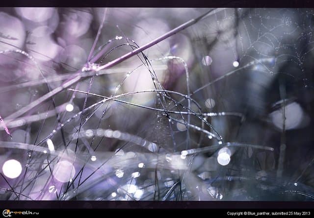 Грустно-капельное