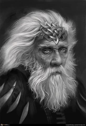 Elder