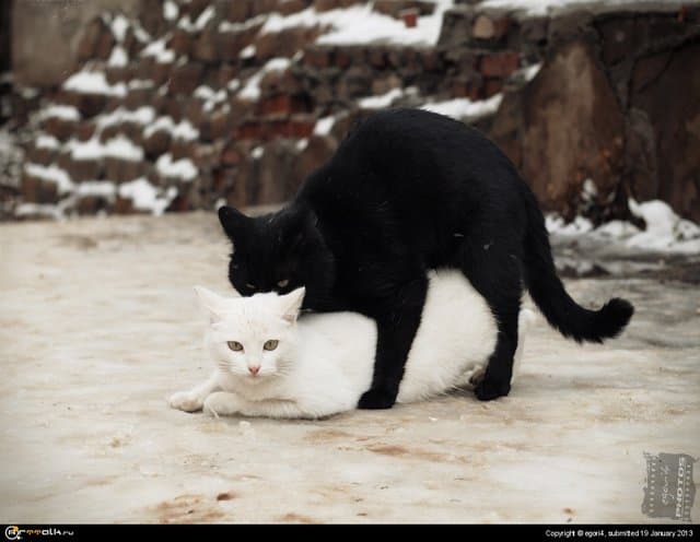 Добро и зло