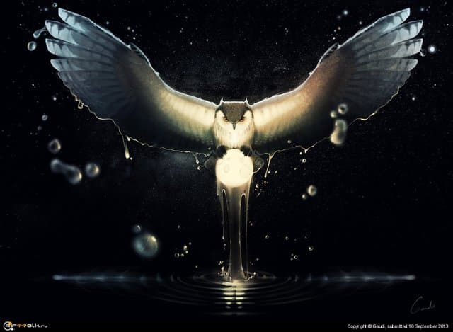Owl Who Gets The Moon Every Night From The River By Gaudibuendia-d6m1gjl