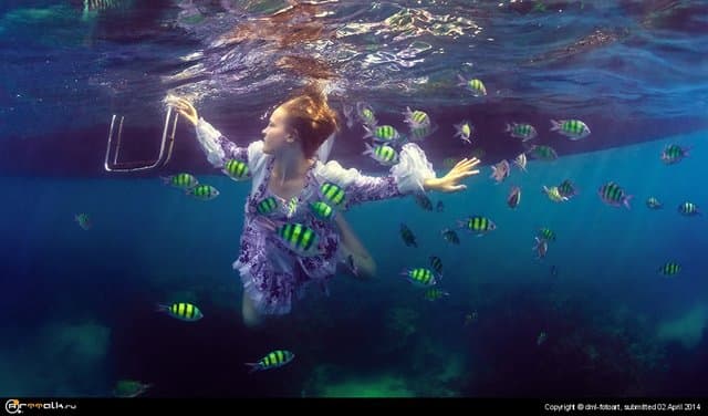 Swim With The Fishes.