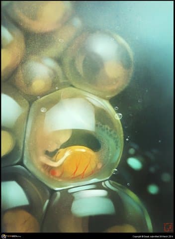 Икра русалки