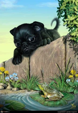 Встреча с зеленым чудовищем!)))