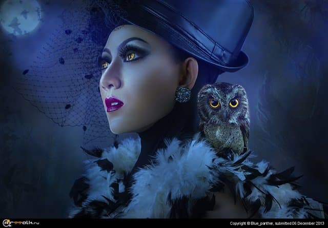 The Night Owl
