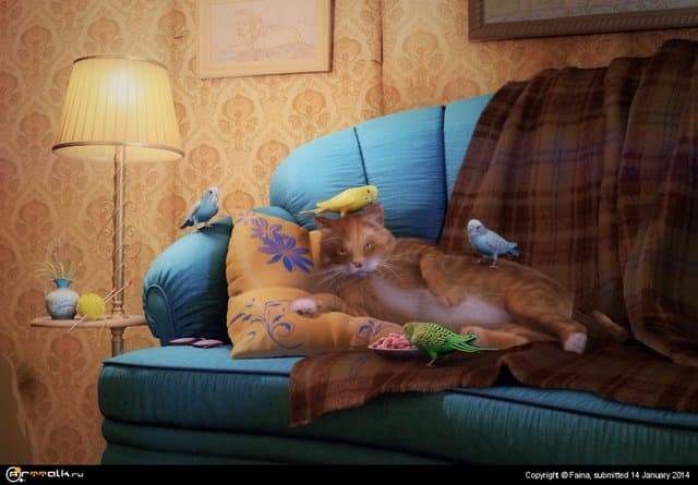 «Нас и здесь неплохо кормят...»