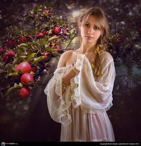 Apples