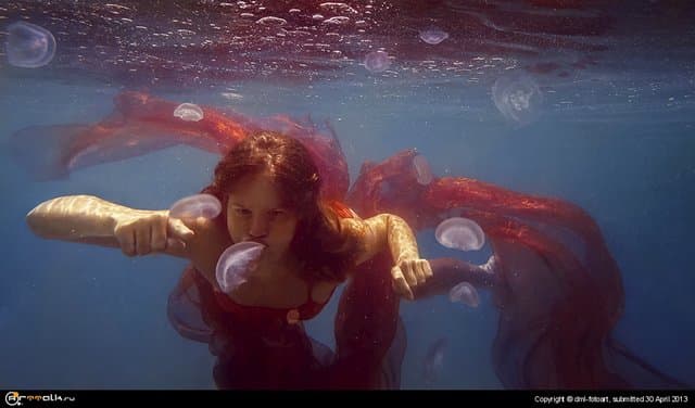Jellyfish