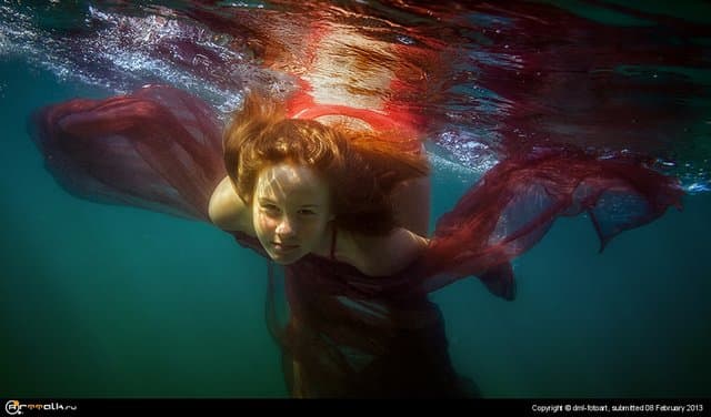 Underwater Bird