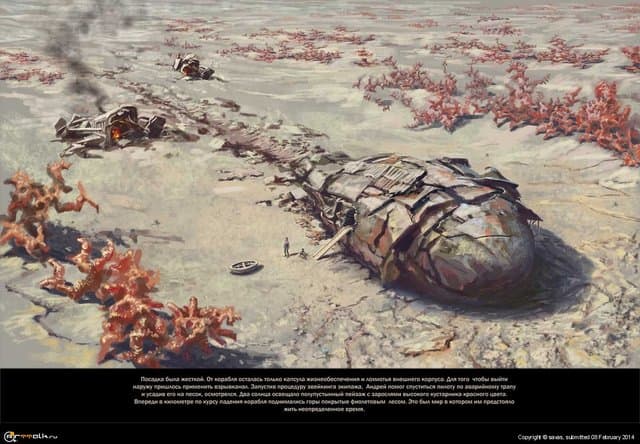 Выброшенные на берег