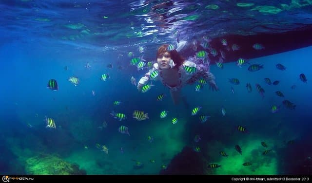 Girl And Fish.